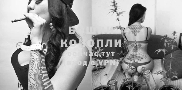 mix Арсеньев