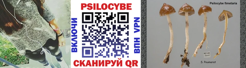 Галлюциногенные грибы GOLDEN TEACHER  гидра ссылки  Артёмовск 